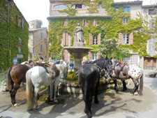 France-Provence-Provence Explorer Ride